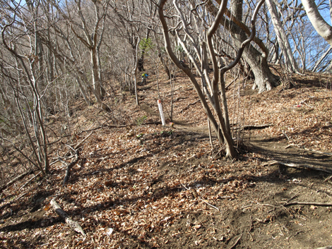 20180116hike (40)